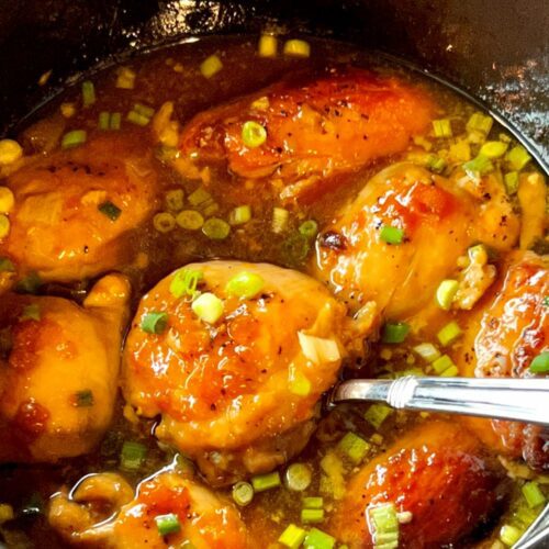 Slow Cooker Apricot Chicken - The Menu Maid