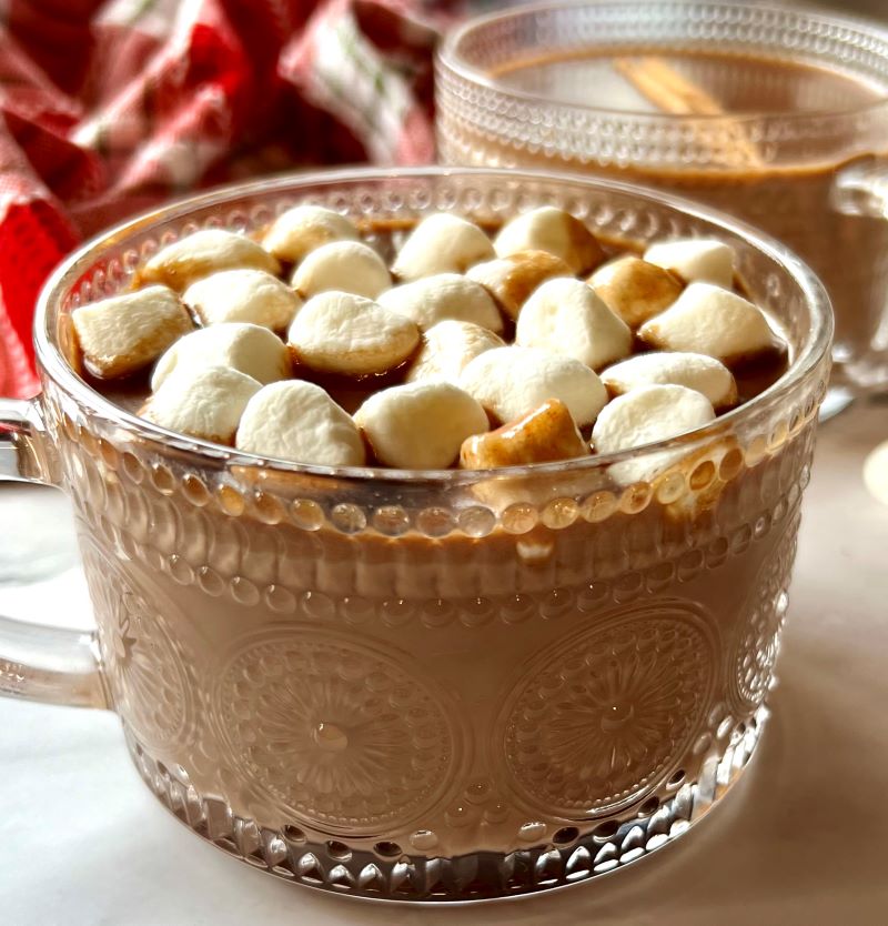 Slow Cooker Mexican Hot Chocolate
