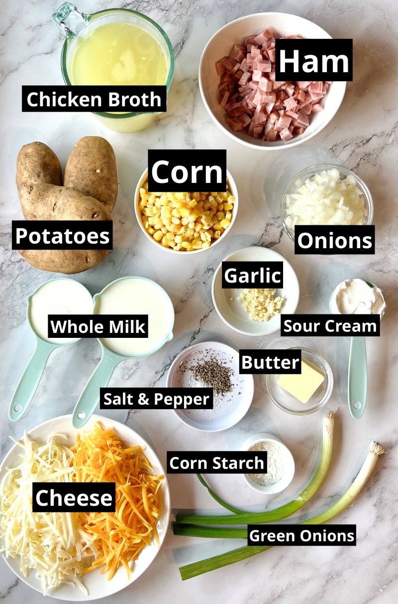 Ingredients for Cheesy slow cooker