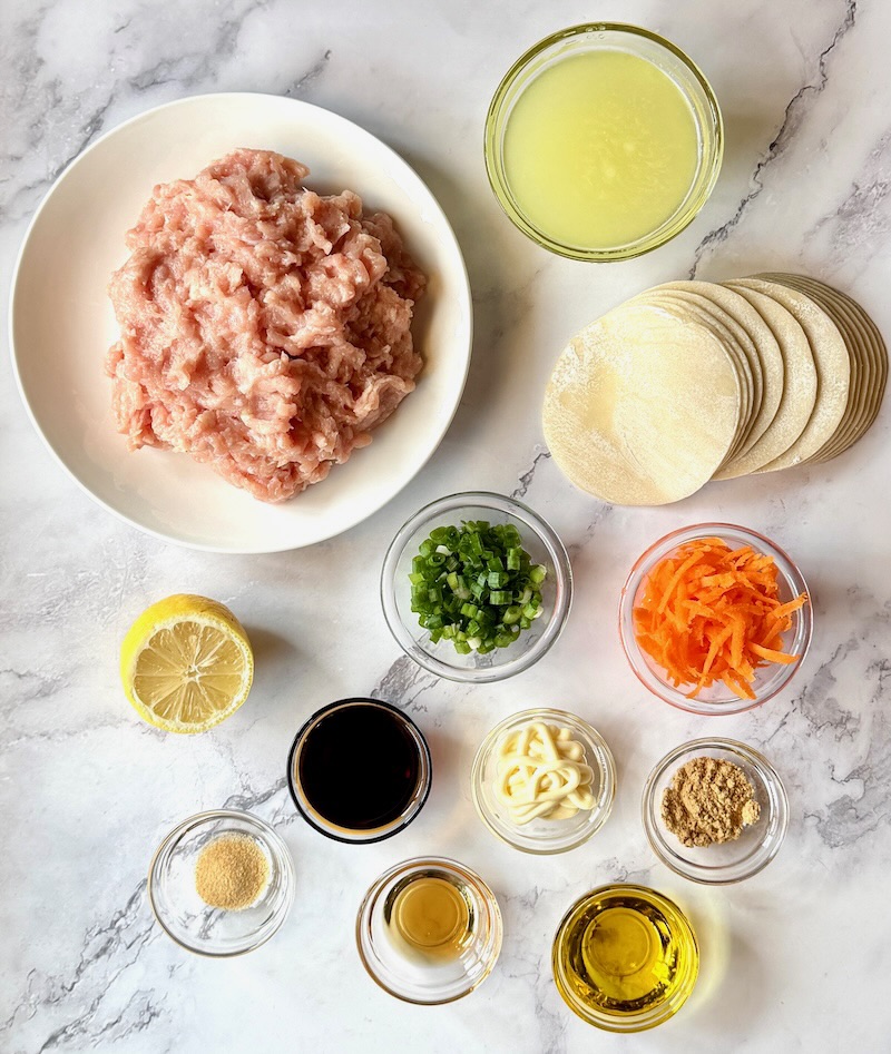 Ingredients displayed for no fold chicken dumplings.