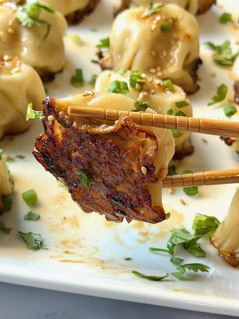 Chicken dumpling with a chopstick showing the underside where it's crispy,