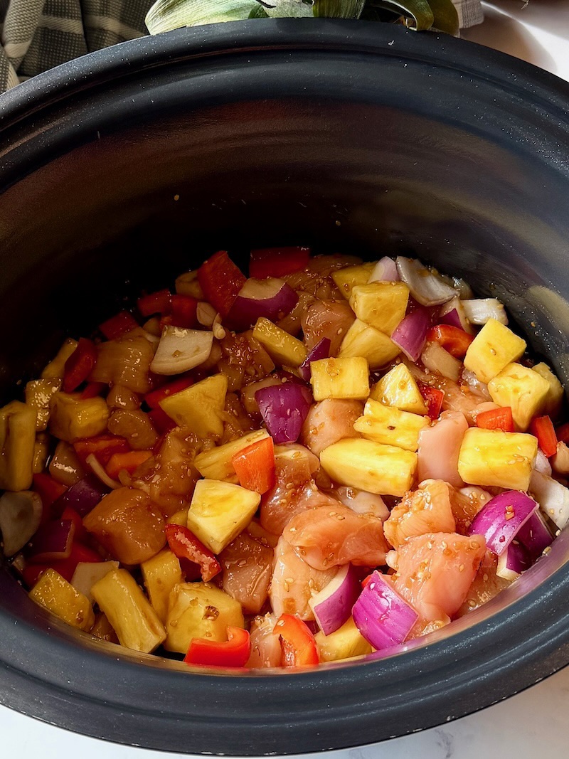 Teriyaki sauce mixed with chicken and veggies. 