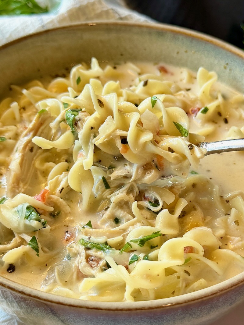 bowl of creamy chicken lasagna soup
